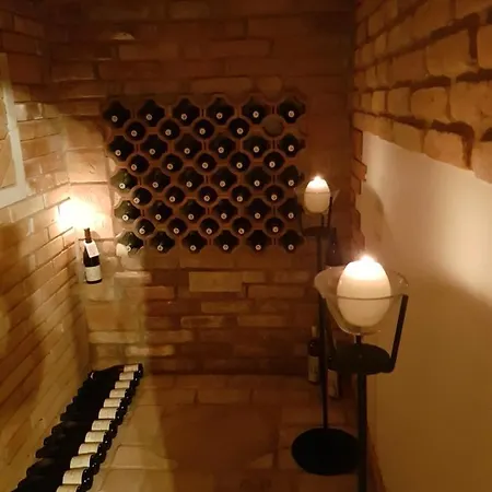 S Vinnym Sklepem Viktorie Appartement Pouzdrany