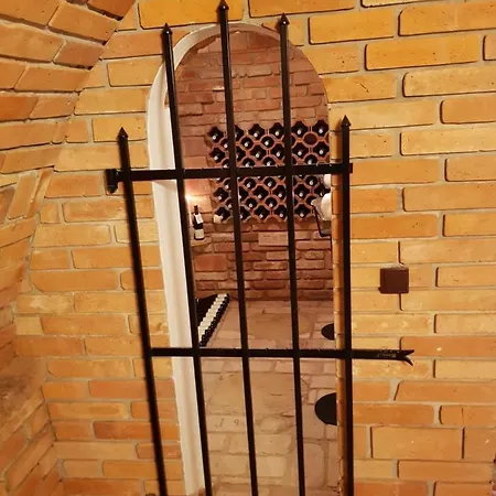 S Vinnym Sklepem Viktorie *
