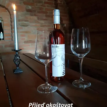 S Vinnym Sklepem Viktorie 公寓 *